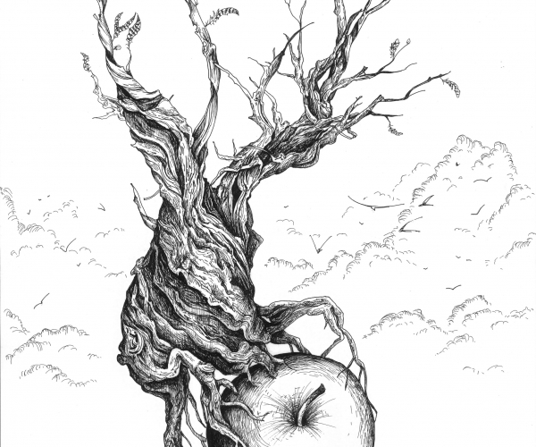 1